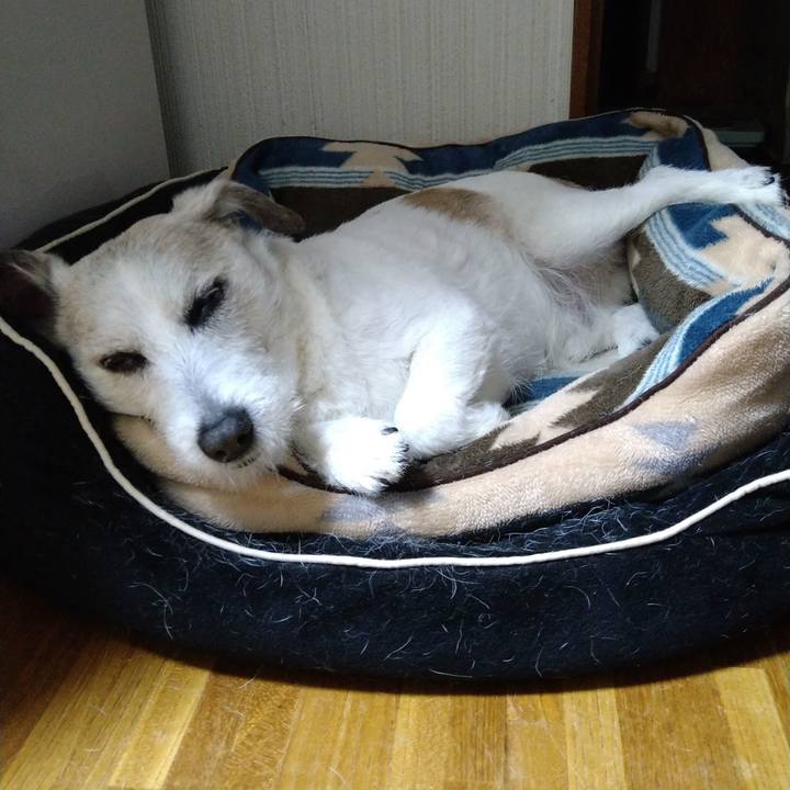 Ffc4e435 d649 4acd bc4b f4dd18f3ca33 1685623076415