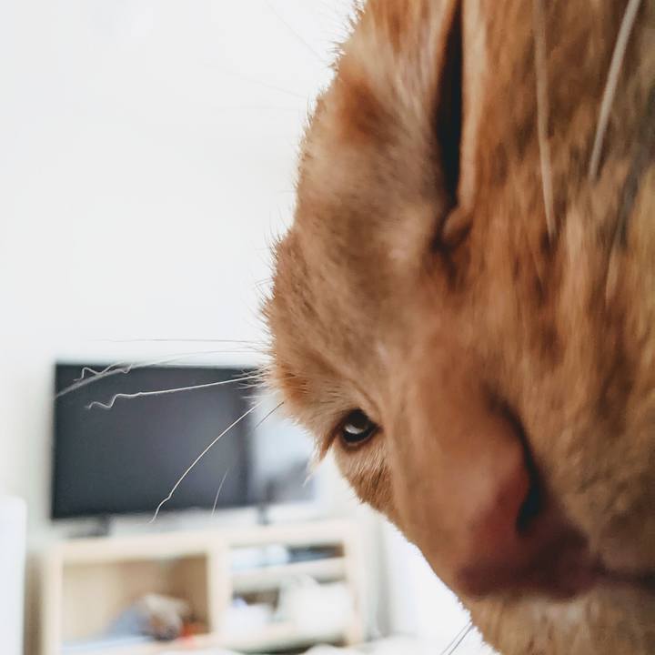 Ffc4edbc 9a42 4b99 a865 f1dc2ba835f3 1647384555355