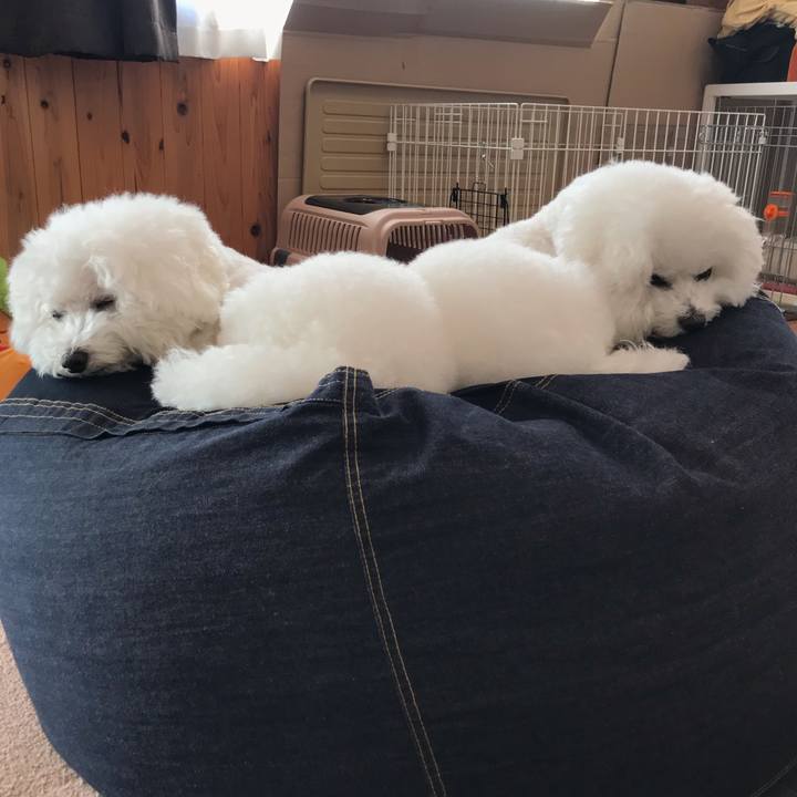 Ffc51456 f50d 472f ada0 6aacebea4386 1574986649475