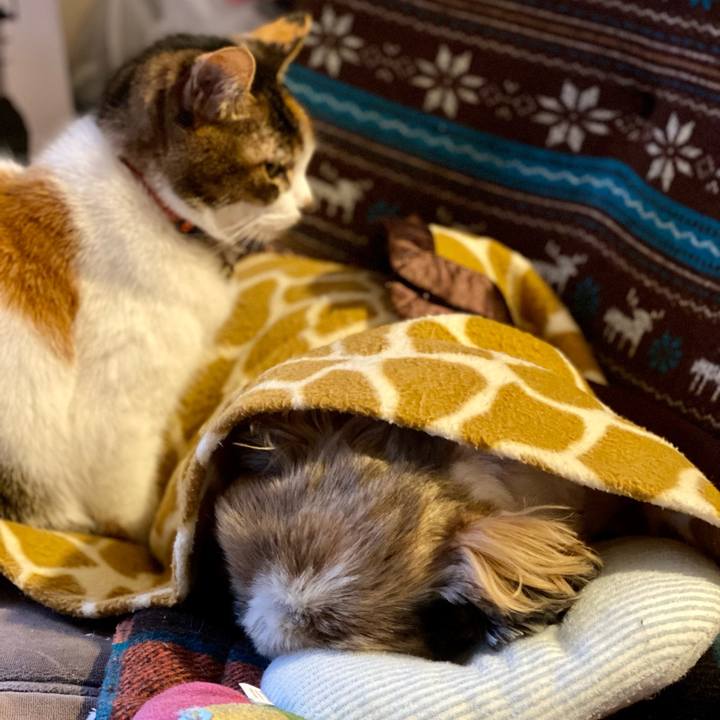 Ffc51a1e 27fe 44d8 be34 5dc5fc3942d8 1647759732500