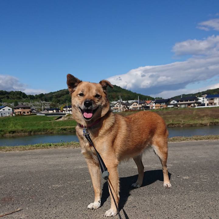 Ffc59ecb a849 4f92 895a 935da1fa0dc8 1603513557872