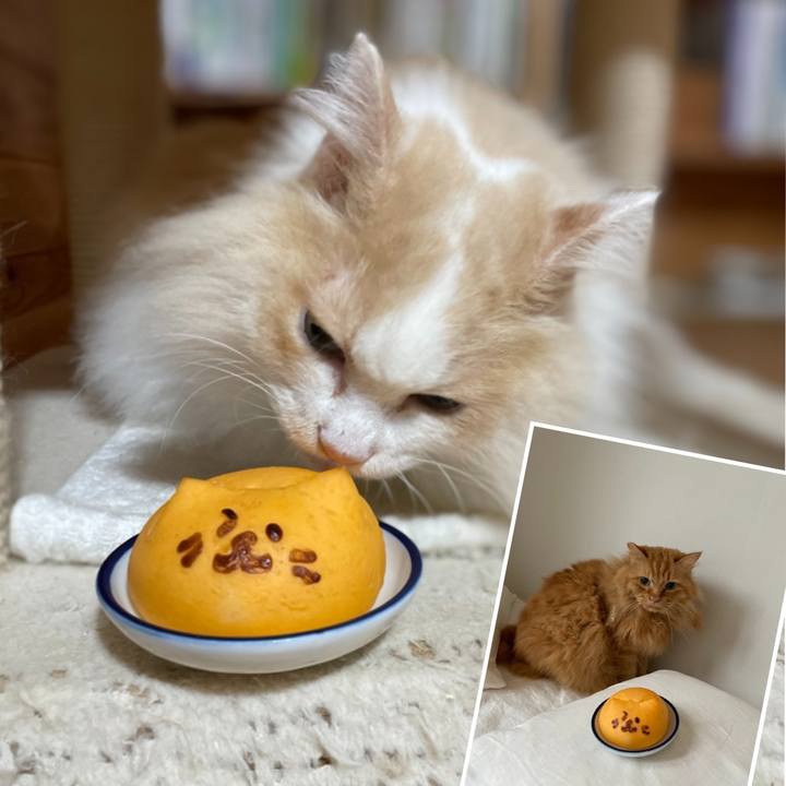 Ffc5e95d 0331 4bff 807e efed64fef26c 1692311357332