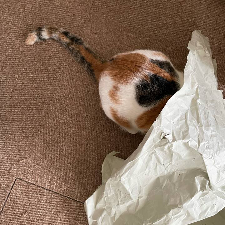 Ffc5f96e a2fc 4b80 b2d5 9a81d4db935a 1631147570251