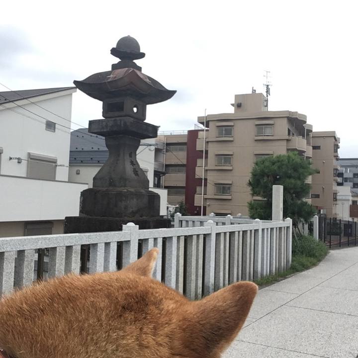 Ffc5ff11 9ee0 4019 b5bd a569f18c6fc0 1571194752993