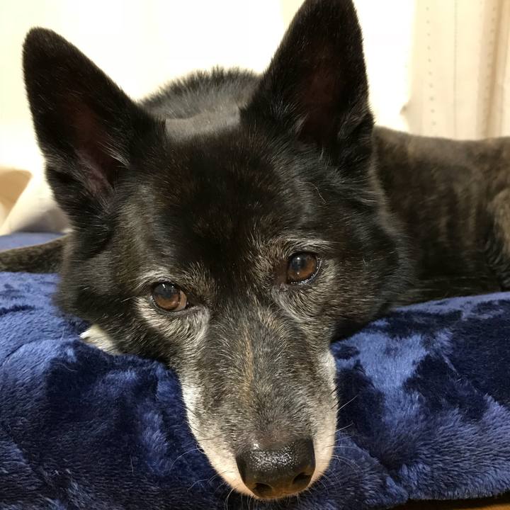 Ffc5ffa5 afd7 420f 9bd5 eac91b2d8648 1516103925221