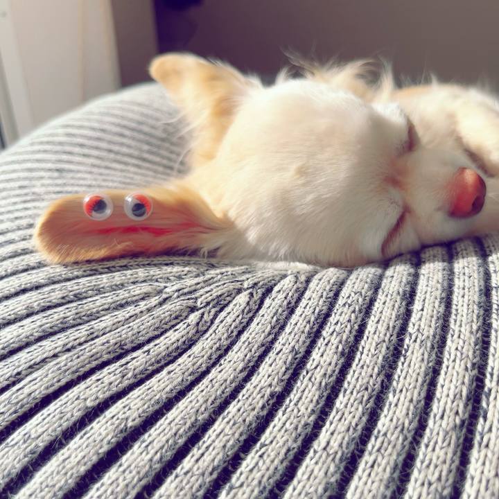 Ffc5fff5 0a93 479a 8559 2eac6f0e45b9 1705310608202