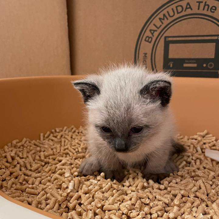 Ffc60094 2ea7 491c 993e 96e0a1112b61 1684958147004