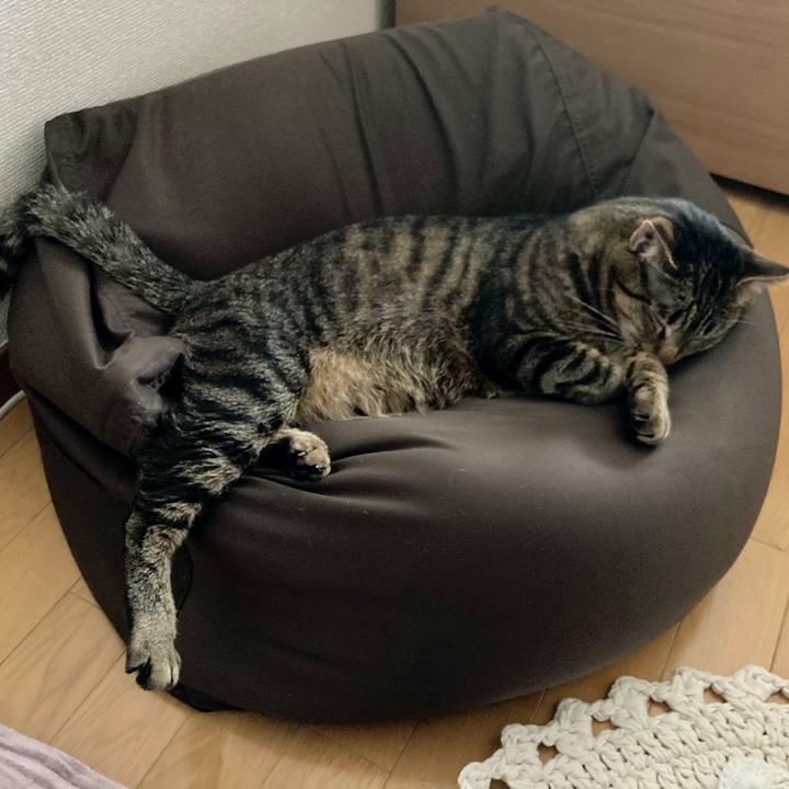 Ffc60bbe 805b 4714 874b 465d2c45f716 1619849333431