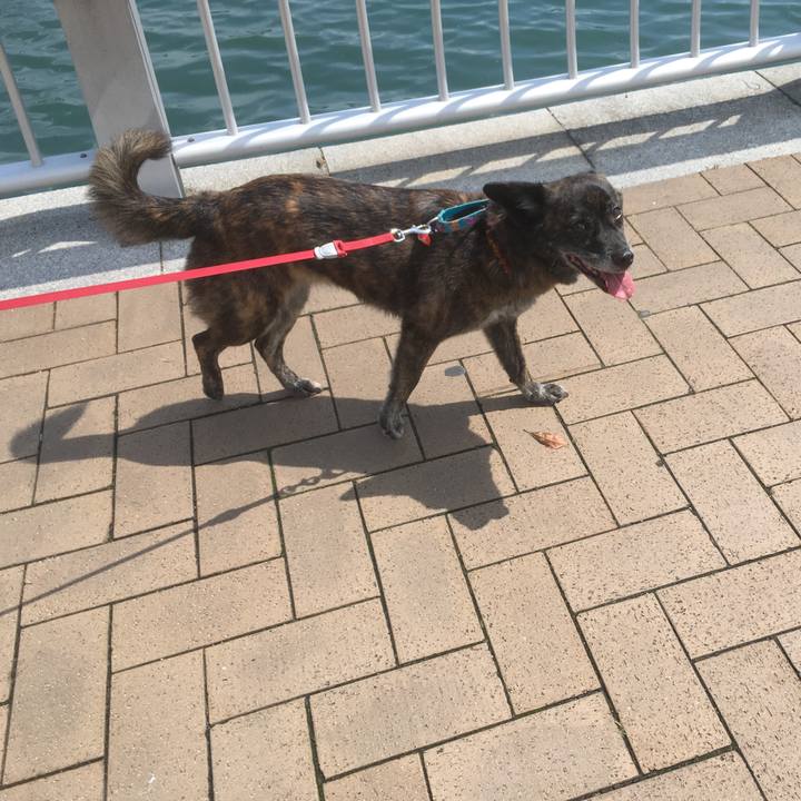 Ffc61b5c 5062 47bf b52e b7e8e1c54b74 1562226430907