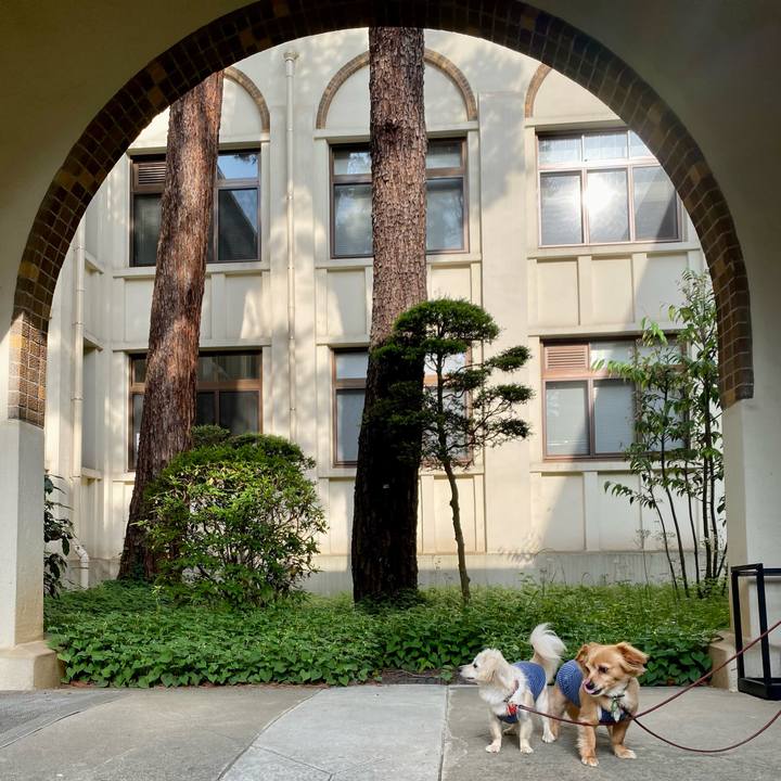 Ffc633ac e326 4fb1 a00e 3465034d7fed 1652829013370