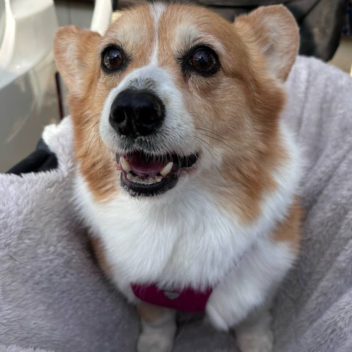 Ffc66298 006b 44bd ac1f 16f49ce350e6 1738208193328