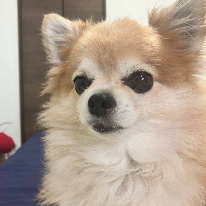 Ffc667f3 6728 40b1 9ef3 b633e867c4aa 1756722142794