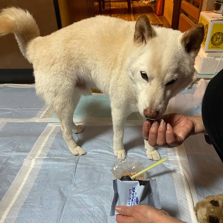 Ffc66ad5 a767 47f6 8dbd 2b045ce9646f 1640099135662