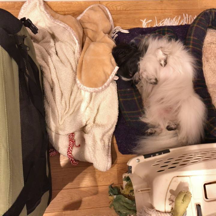 Ffc68a1d bbc0 483e 9a15 c1cb8d3273e6 1534079815713