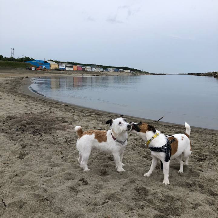 Ffc6cad6 23a0 4359 8660 e300f671ff8c 1592004279021