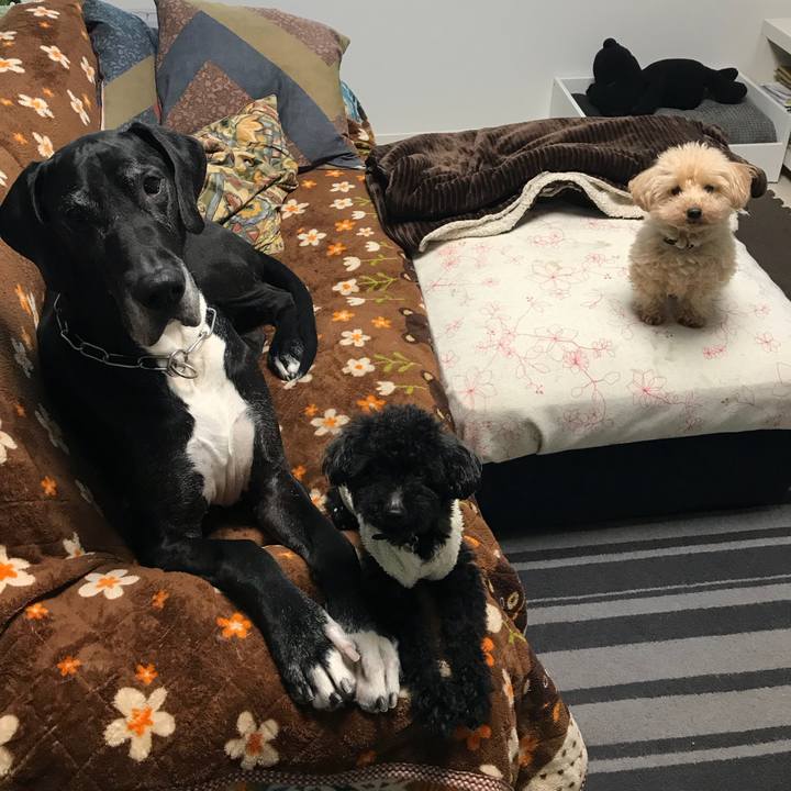 Ffc721a7 13b8 4d04 a57d 8c968c4bd296 1521672812195