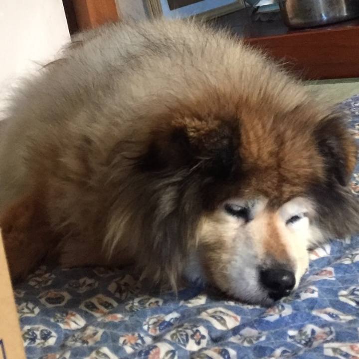 Ffc7402b 3d1e 4146 a6e1 54e5d3538523 1604121860455