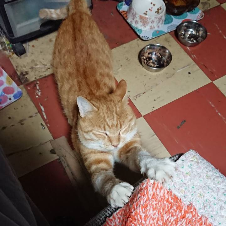 Ffc7bd25 c4eb 448a a630 5ea25f47f7de 1572725109158