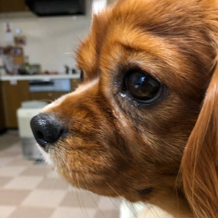 Ffc7d437 7c0f 425c a365 898b2f627b5a 1546553834483