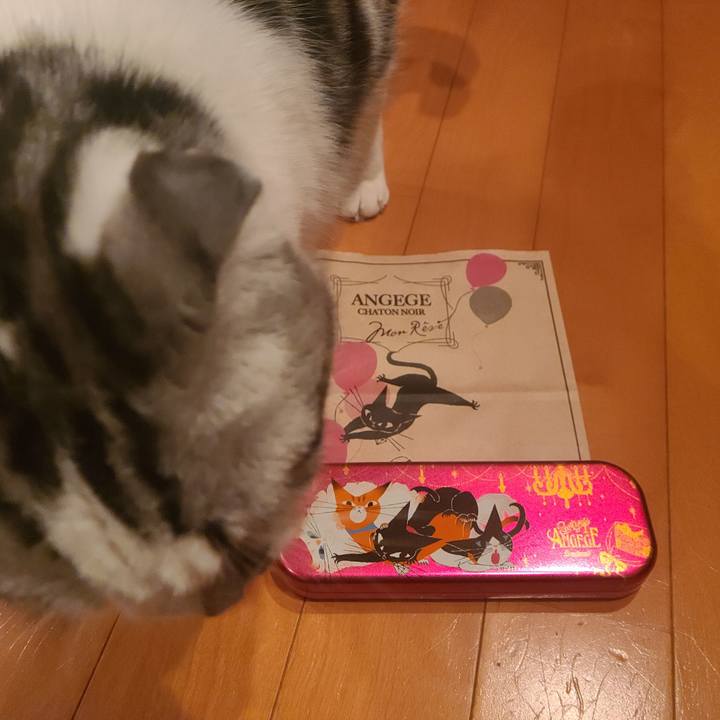 Ffc7eb7c cf3e 4466 b9c7 b459c5e4dafb 1644915059255