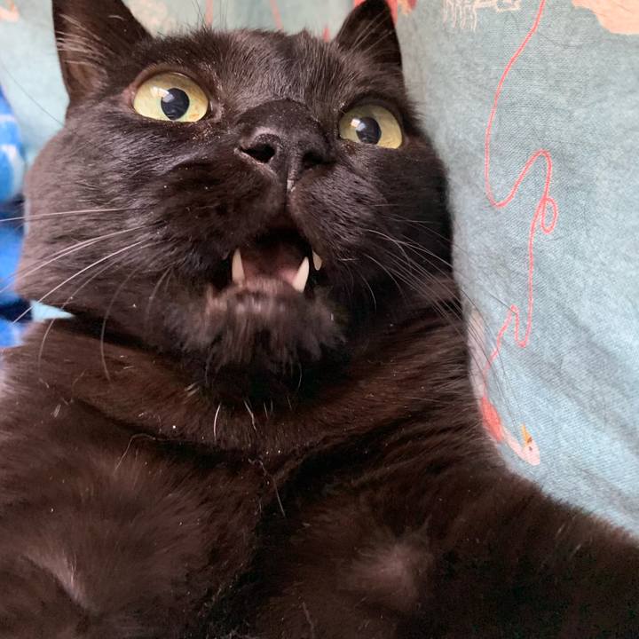 Ffc8666a d63a 48c4 9be8 d9bc4d463753 1556947343521