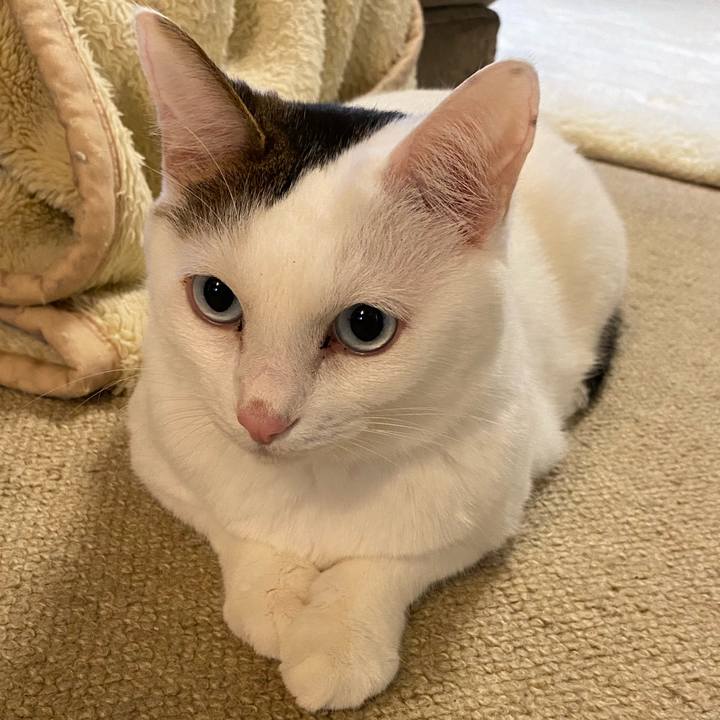 Ffc87f49 026b 4c89 8650 1718169c6a74 1669158680960