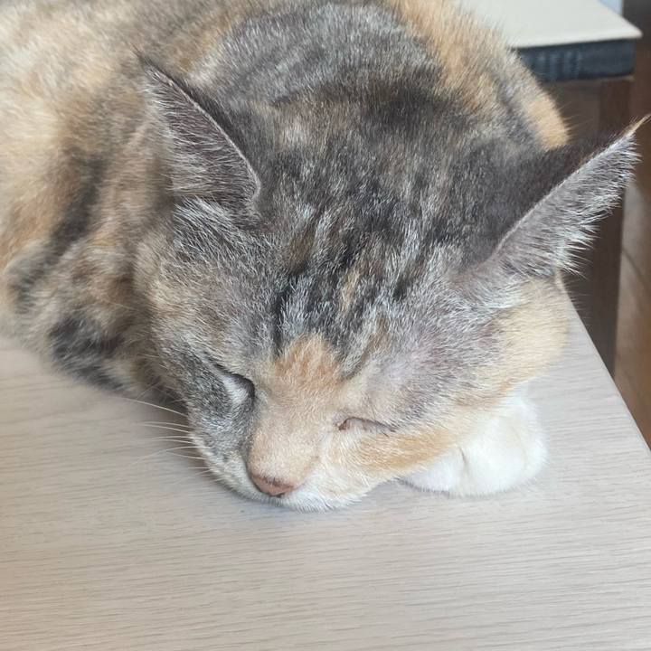 Ffc89979 7c7b 45d1 afe4 bdca70825ea3 1724557957594