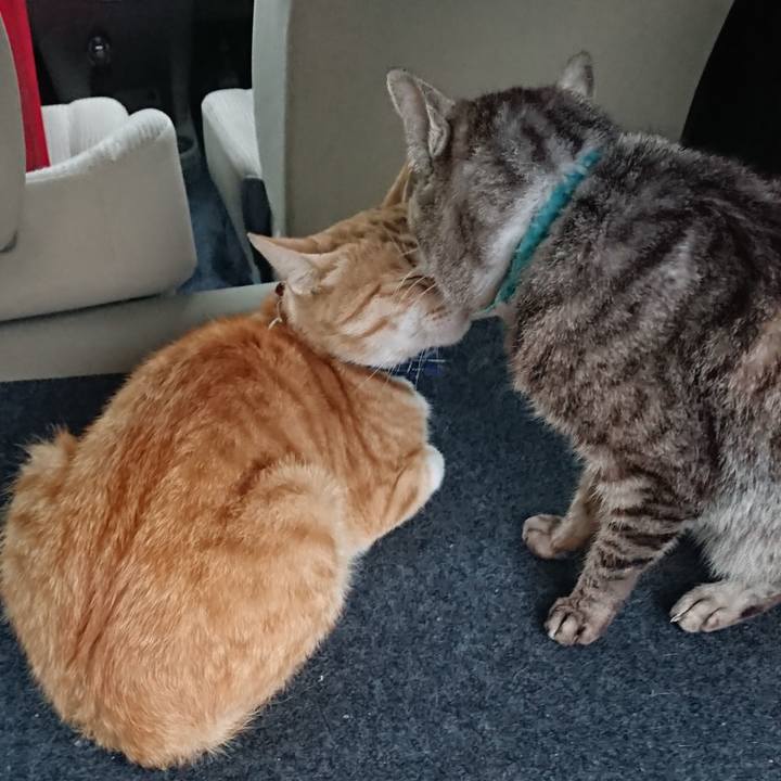 Ffc8c29d b4f6 4d0f 9950 f79ac30cd6f1 1561282332977