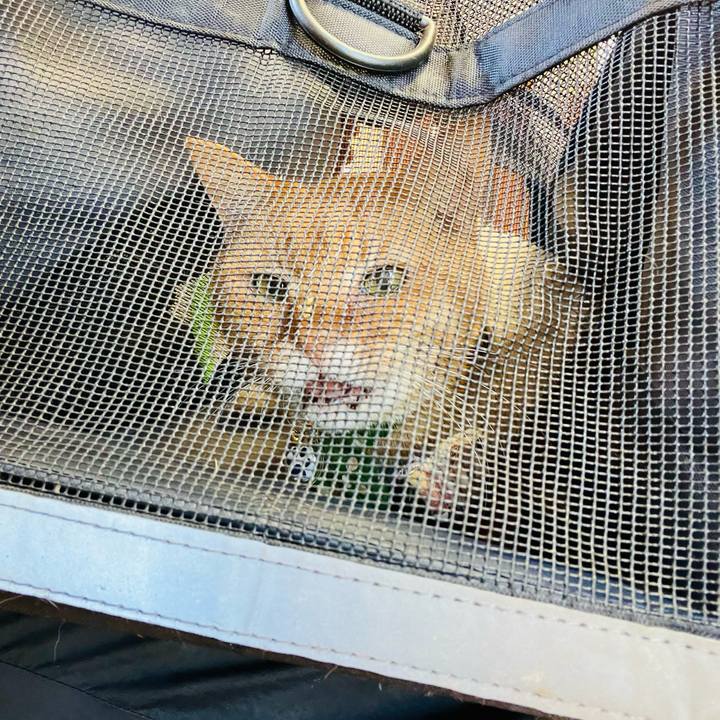 Ffc91048 bfe3 480a b98d f701e0264606 1773631267508