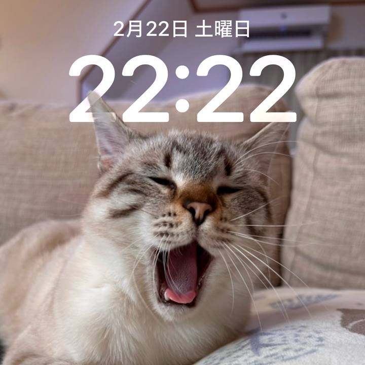 Ffc91bfb 8c2b 4891 b6ba b5f6c7b617a3 1740230774145