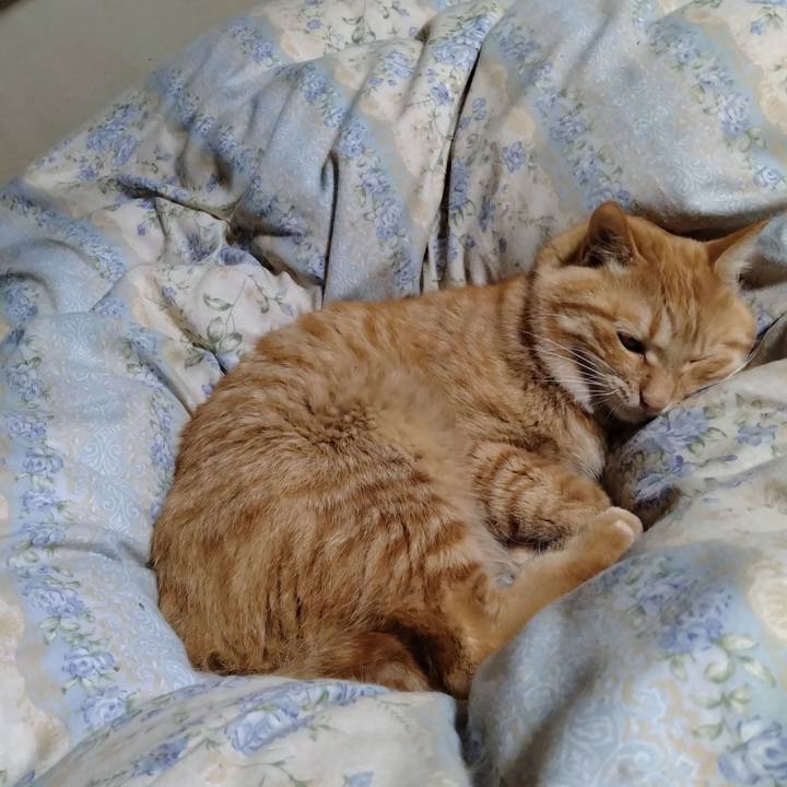 Ffc93104 2f33 4d2a 9180 b0e08a14608c 1666788544510