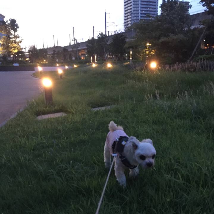 Ffc96f45 f7b0 4d63 8945 602f553ffe53 1565090273446