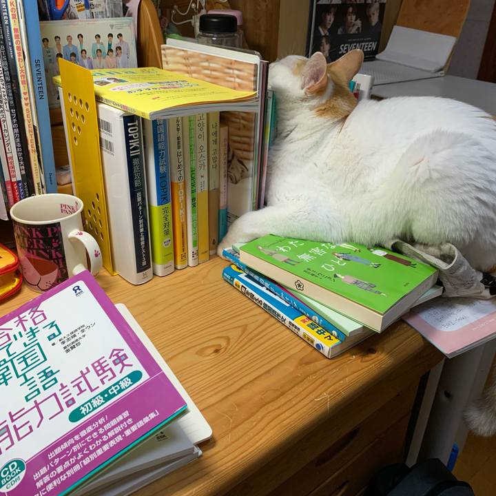 Ffc991f4 23e4 4522 8b53 dc9af33a7d3d 1605993829063