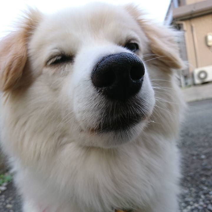 Ffc999ab 39b9 49c9 ac56 2fd048824438 1532119822732