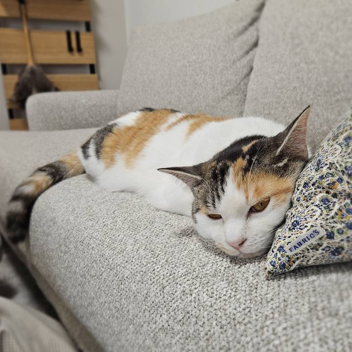 Ffc9dfcf 14c8 47a9 83f4 588a41c0d966 1771339481963