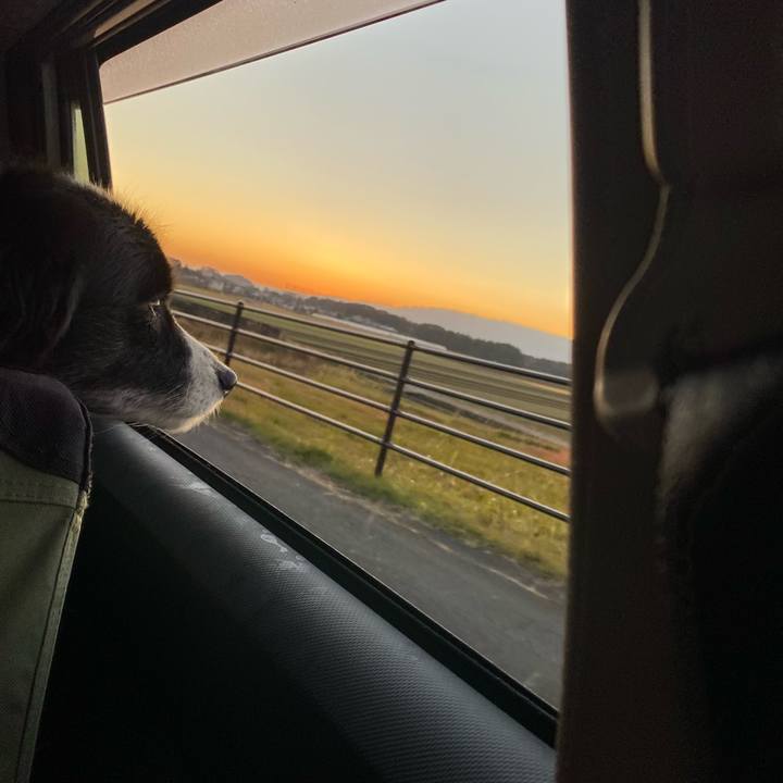 Ffc9f9c1 c696 4882 9191 ffc1c2c303fc 1639006988894