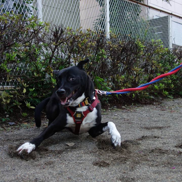 Ffca0b27 deef 4f30 b5a7 368303367d75 1601338857795