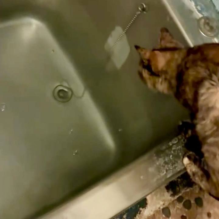 Ffca54c7 7f04 46de 9141 937c9eb01aef 1745952471170