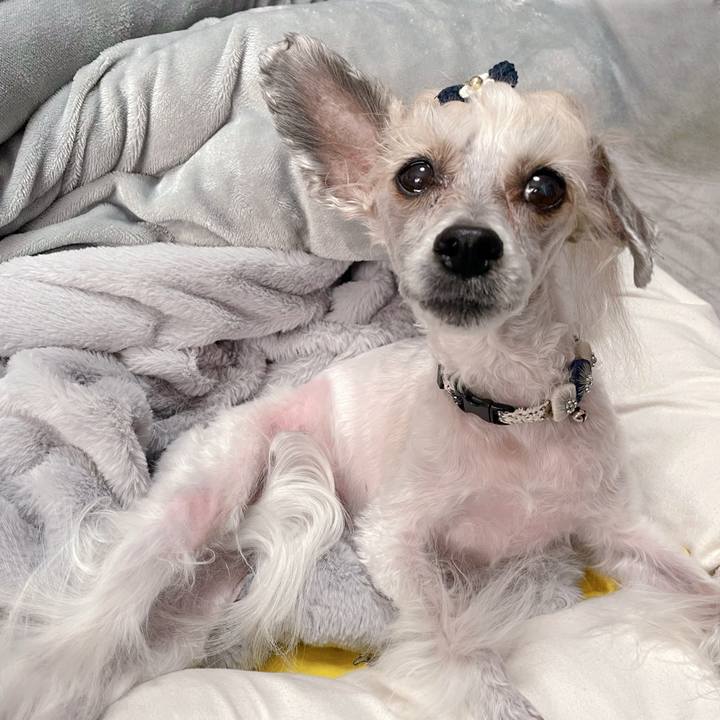 Ffca5b63 9c4f 4bf1 b0ec b45db07b7656 1769909648186