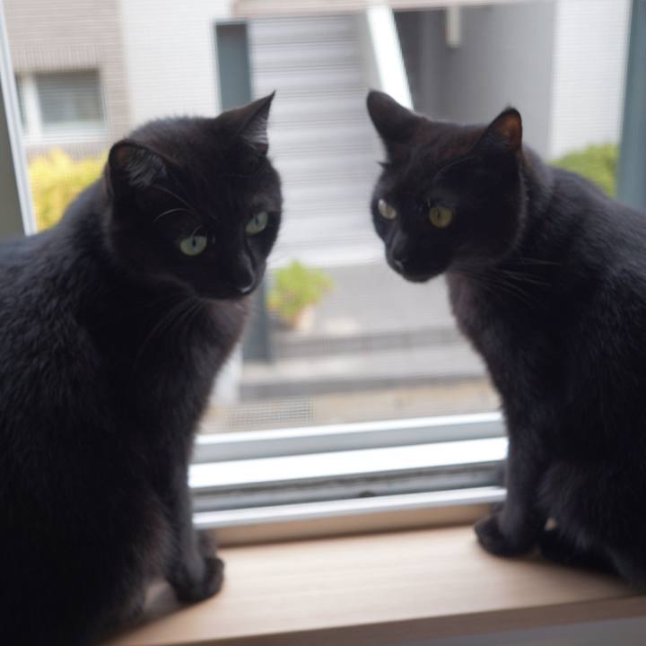 Ffca5f9b dbed 4816 86ec d40c482c2533 1599003967862