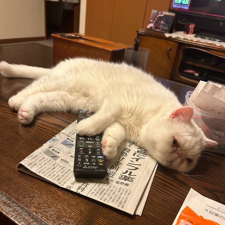 Ffca8fee 4540 497a ac58 fe3f644e285c 1690079143630