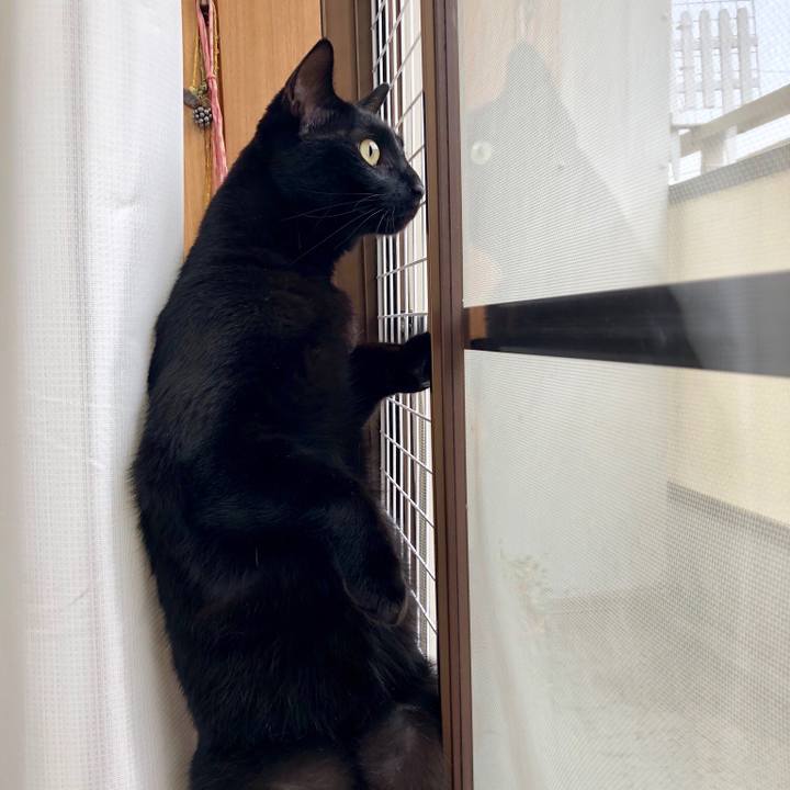 Ffca9a9f 8a23 4873 8cd8 e943ba6addf0 1528243788856