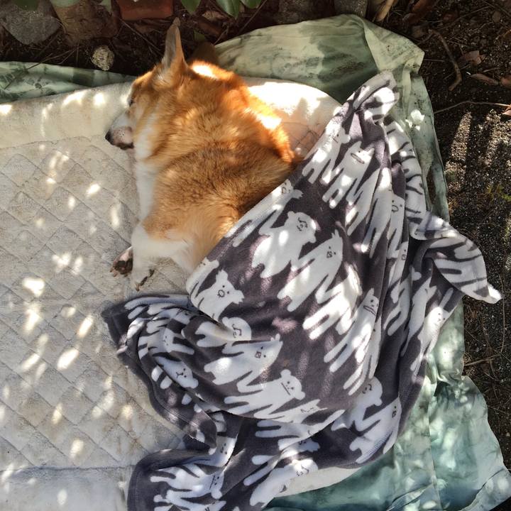 Ffcaeb63 49a4 4c41 b67e b635bb785cac 1542323752726