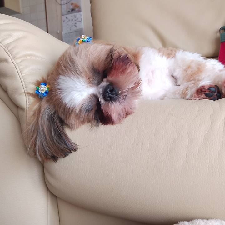 Ffcb177f 41e3 45d5 86bb db577d05deed 1583468075914