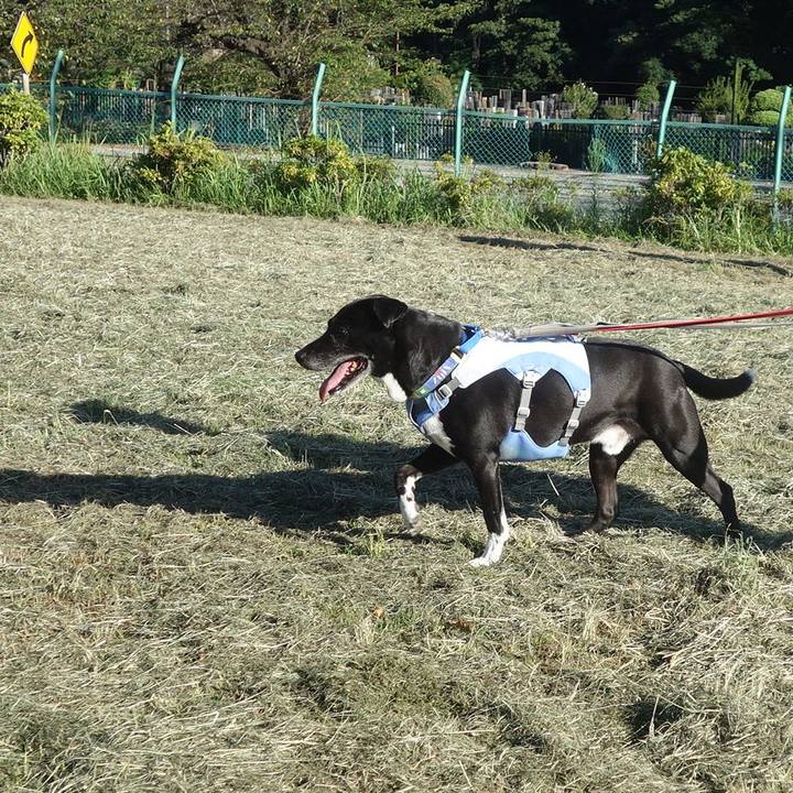 Ffcb2041 4ff1 4110 bbb0 211149dff7b0 1693525699996