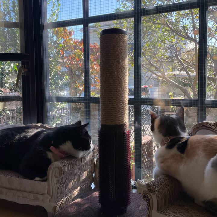 Ffcb29d8 c257 4206 a0e9 4030fc0a1d1a 1697939219167