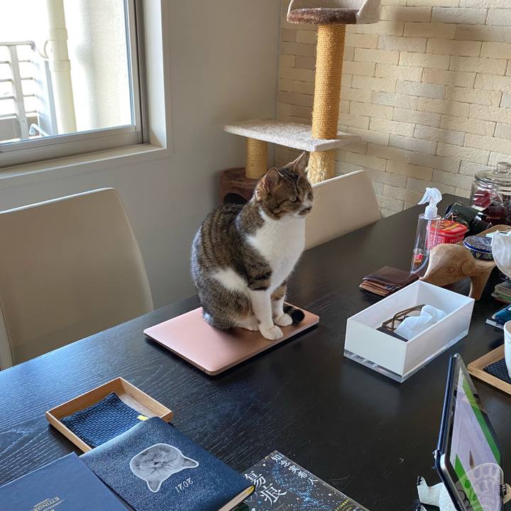 Ffcb37f7 a576 4393 a56a a4960eb3bea7 1617781928903