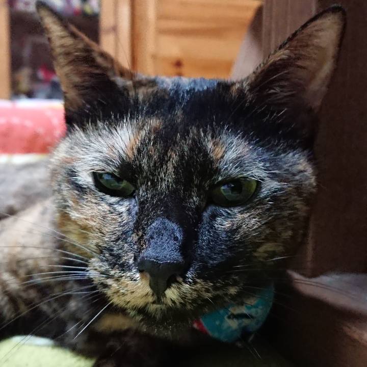 Ffcb4def 91ca 4a0a 8a59 e0db2c0bd645 1542805299063