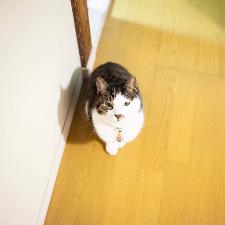 Ffcb7b4b 3085 4ca7 b7c0 af2a33db1978 1612881206304