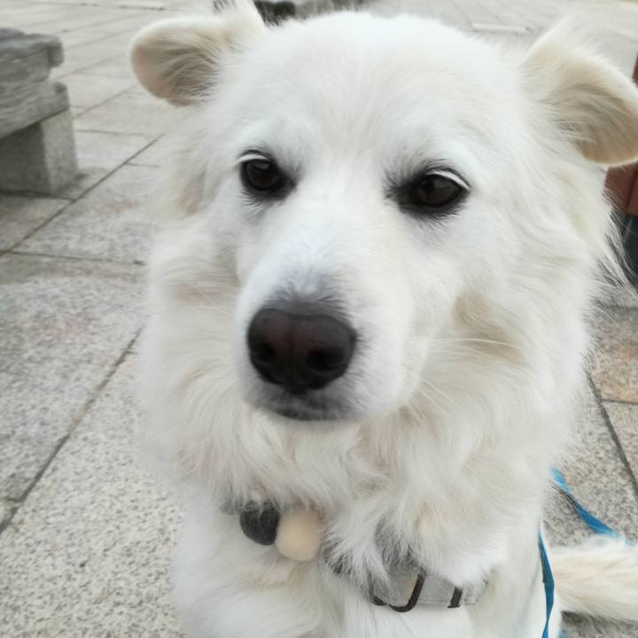 Ffcb8e69 0289 4eb2 ad11 2faf2bef2818 1547082549802